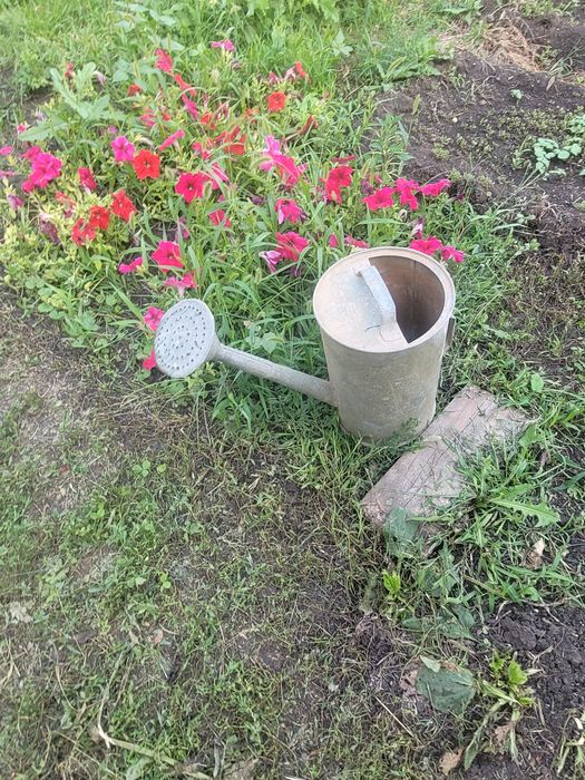 Дача  большой участок