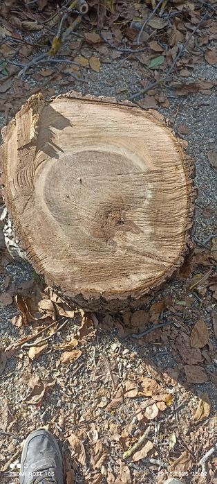 Орехов материал  .