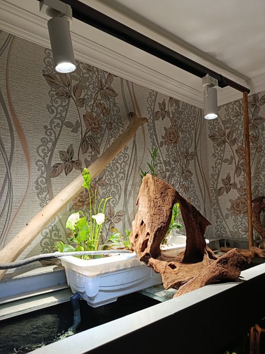 Аквариум в сборе