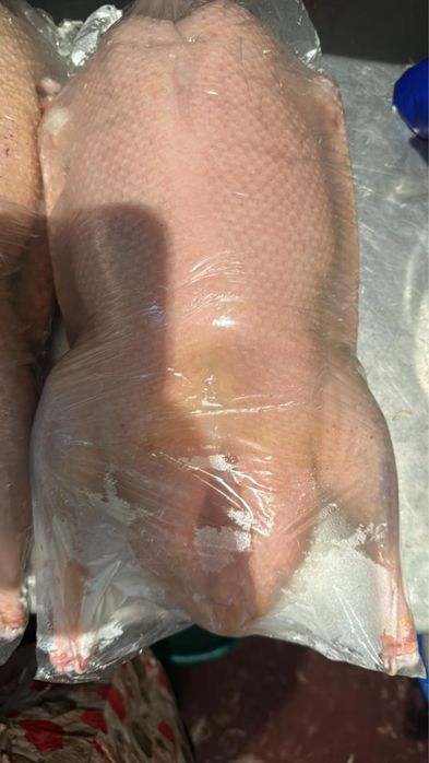 Продам мясо гуся, оптом!