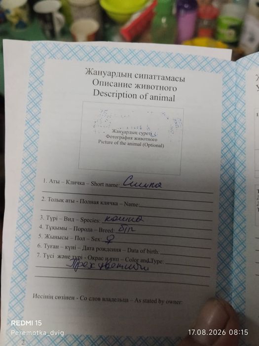 Отдам в хорошие руки.
