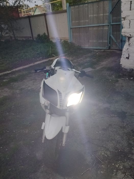 Peda Hornet   V2.
