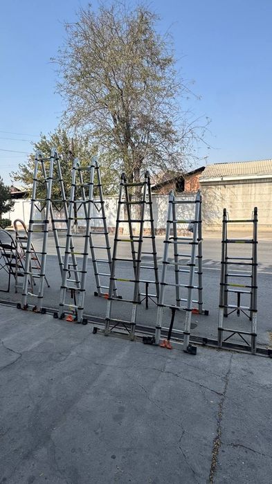 Narvon (леснитсы)