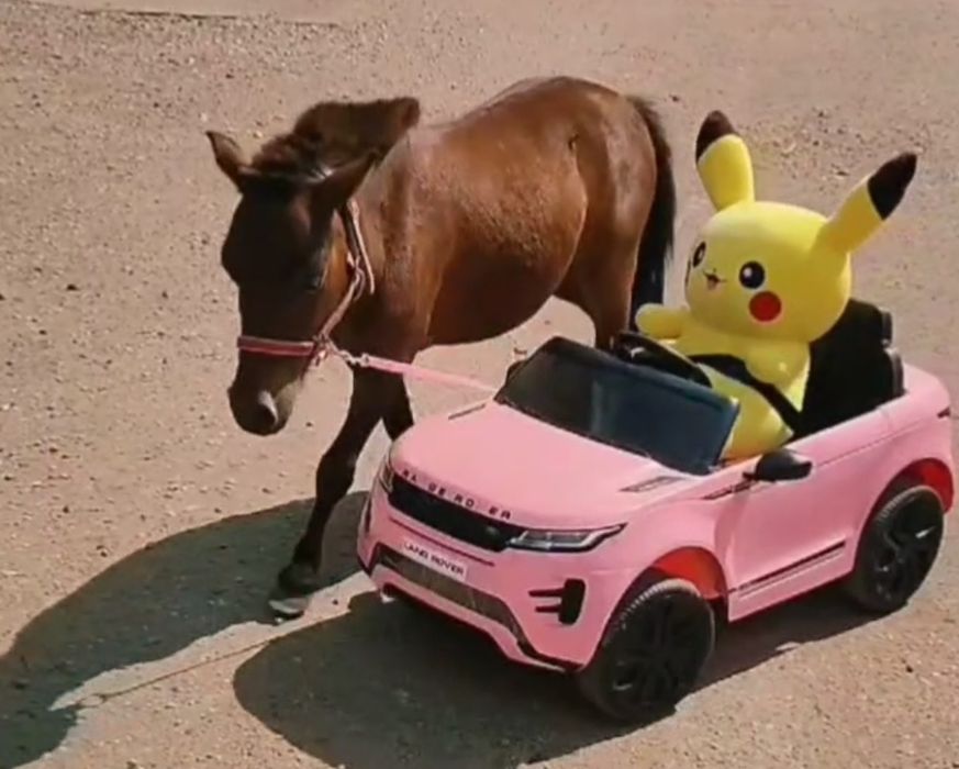 Ponei pitic / mini / toy / Cal Pitic