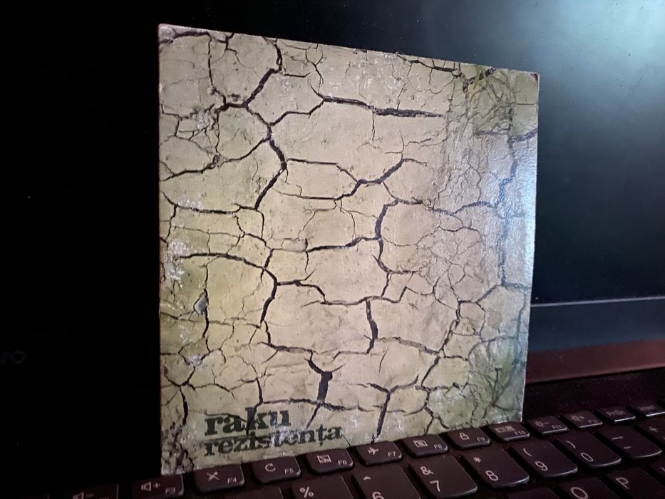 CD raku - rezistenta