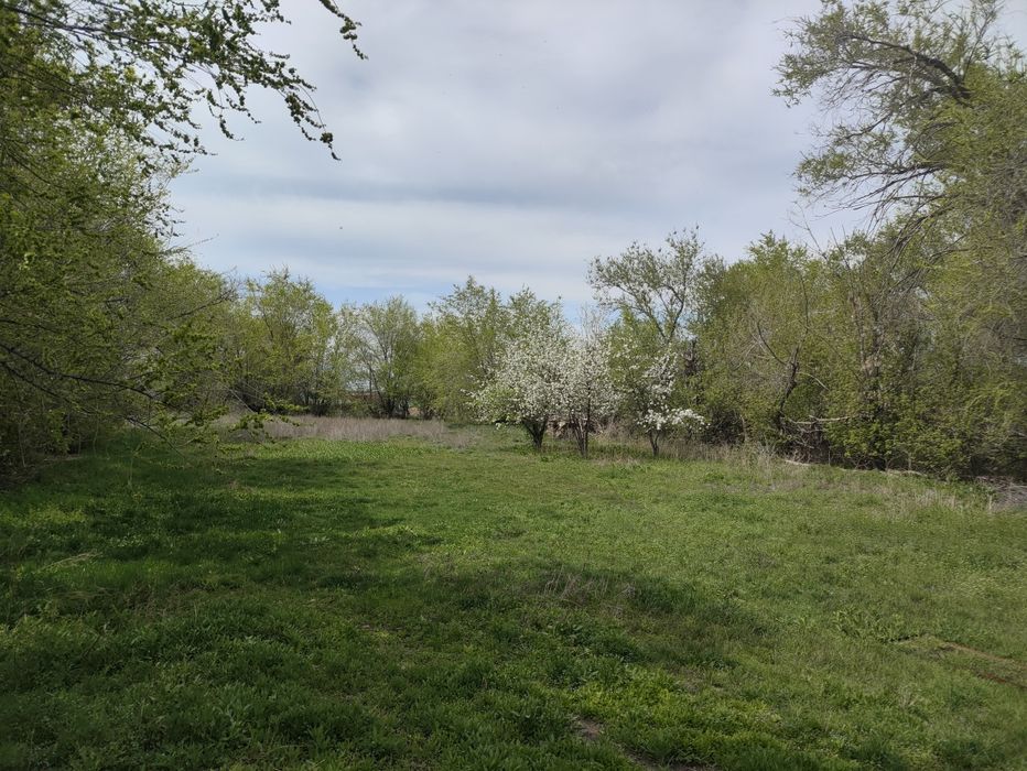 Участок, огород в п.Береке