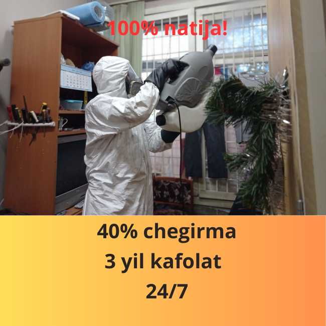 Дезинфекция клапа клопов таракан крыс Dezinfeksiya dezenfeksiya R4