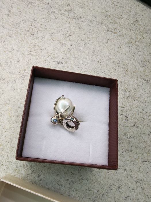 Висулка талисман за гривна пандора Sublime