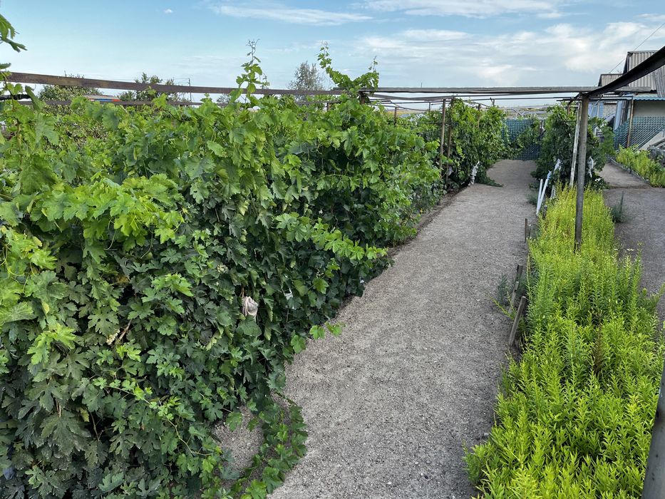 Продается дача на 1-ой водоколонке