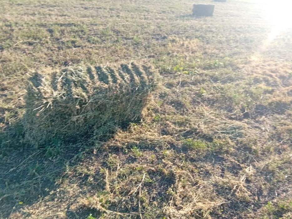 Vand Baloti lucerna ,coasă a 3,