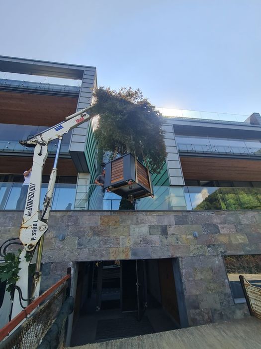 Închirieze automacara de 3.5 tone