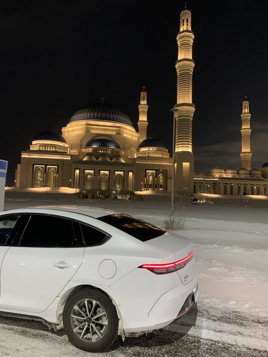 Аренда BYD Destroyer