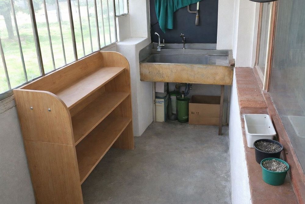 Clean Rose Почистване и подреждане на вашият дом