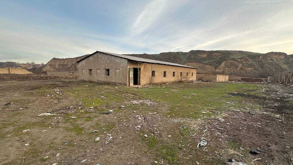 Ферма 80 сўтих. Манзил Тошкент вилояти, Пискент тумани.