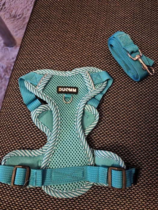 Нагръдник за куче с повод – регулируем, светлоотразителен