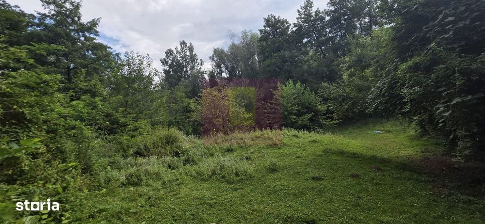Teren de vanzare 15.000 mp in Telega