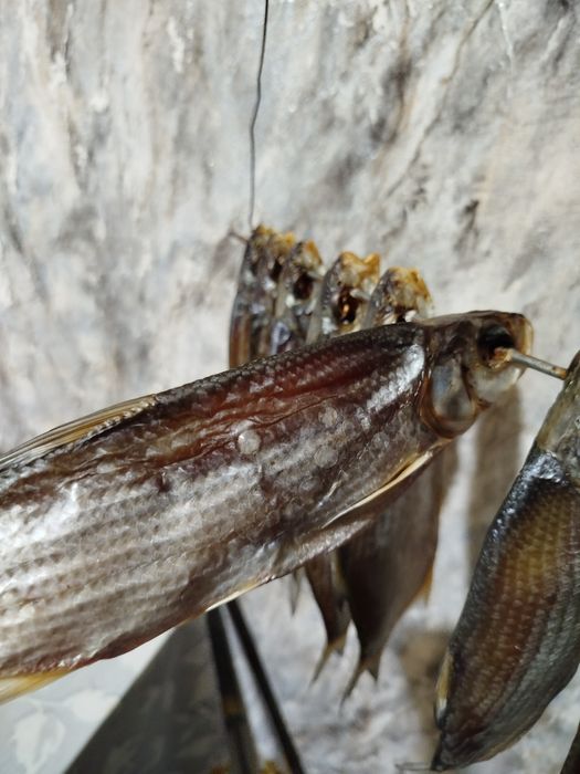 Продам сушёную рыбу