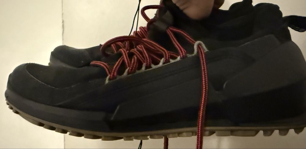 Adidasi Ecco Biom 2.0