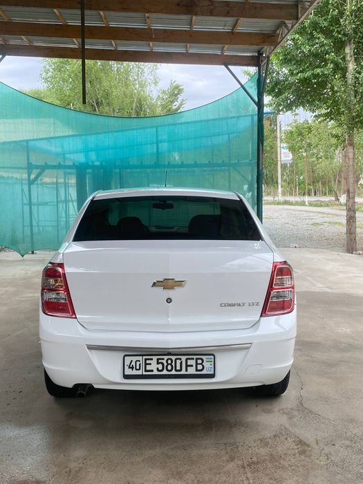 Other Cobalt 2023 — 7