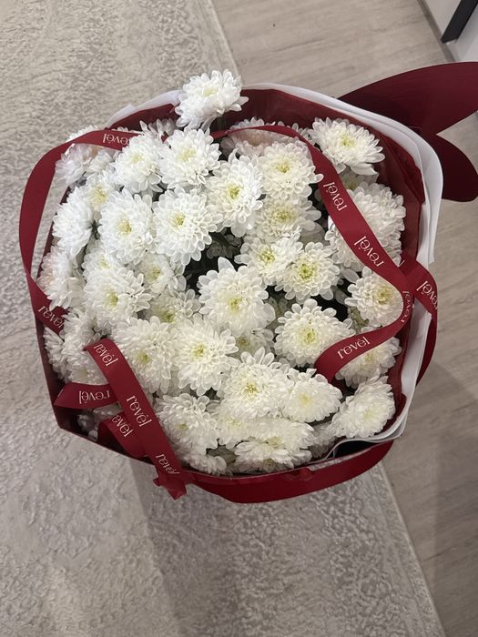 цветы ромашки свежие