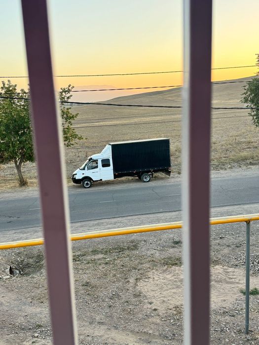 Газель жағдайы жақсы