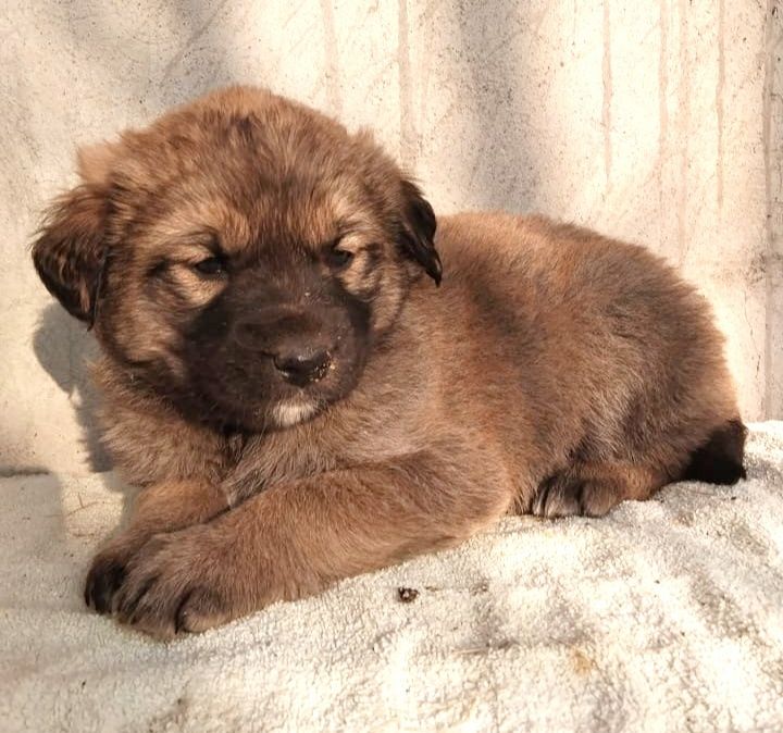 Не проходите мимо подарите дом бездомным