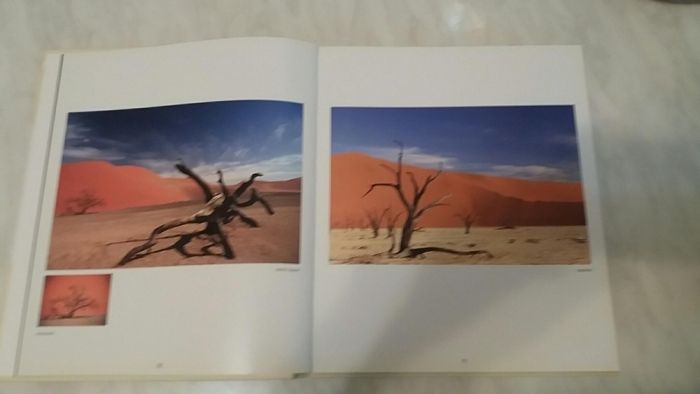 Книга иллюстрация. Природа