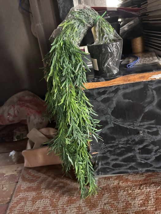 Свесающие цветы новые