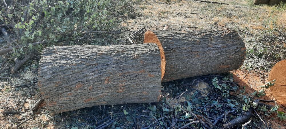 Пеньки для мясников