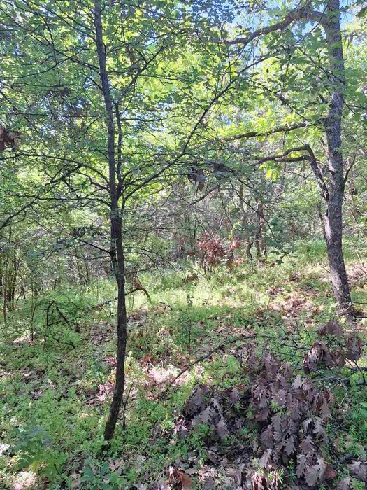 Продава се Земеделски имот в София, Карпузица -  кв.м за 450 €/дка - Снимка #3