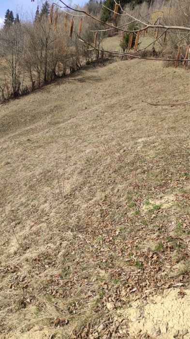 Teren intravilan de vanzare 5000mp2 Rucar-Arges