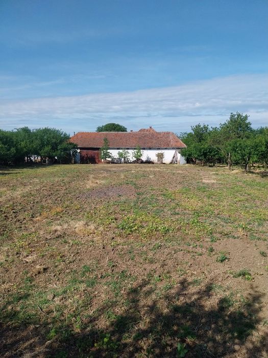 Casă la țară cu teren generos de 2880 mp – liniște, natură și potențial enorm!