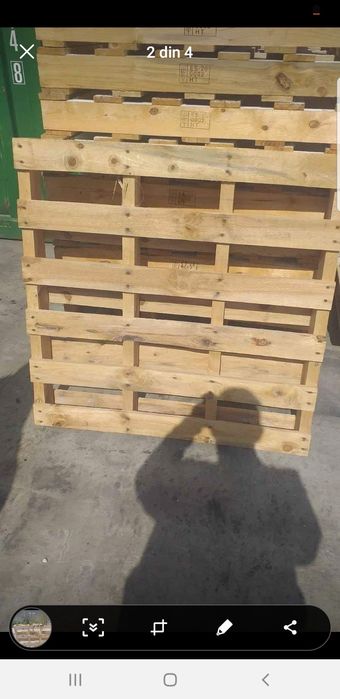 Paleti 20 lei bucata la topraisar