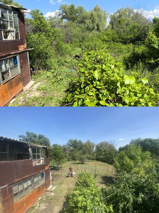 спил деревьев и кустарников