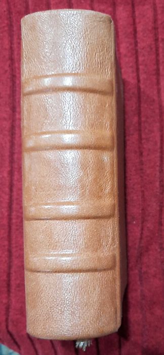 Рядка старопечатна книга Летоструй за 1873/74/75/76 г