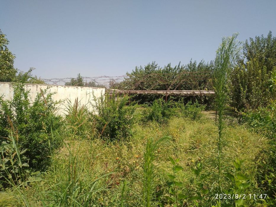 Участка Сотилади! Срочна! [50 сотих] Сирдарё тумани Дарё бўйида