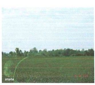Teren intravilan sat Talpasesti, com. Balesti, Gorj - 3074080