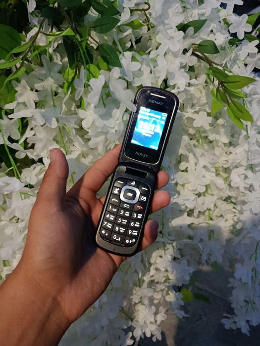 Novey senat                      .