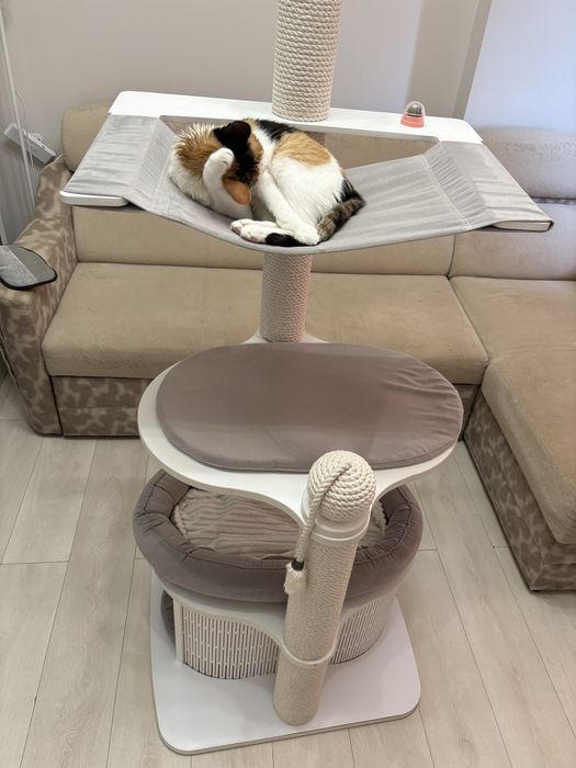 Большой кошачий дом