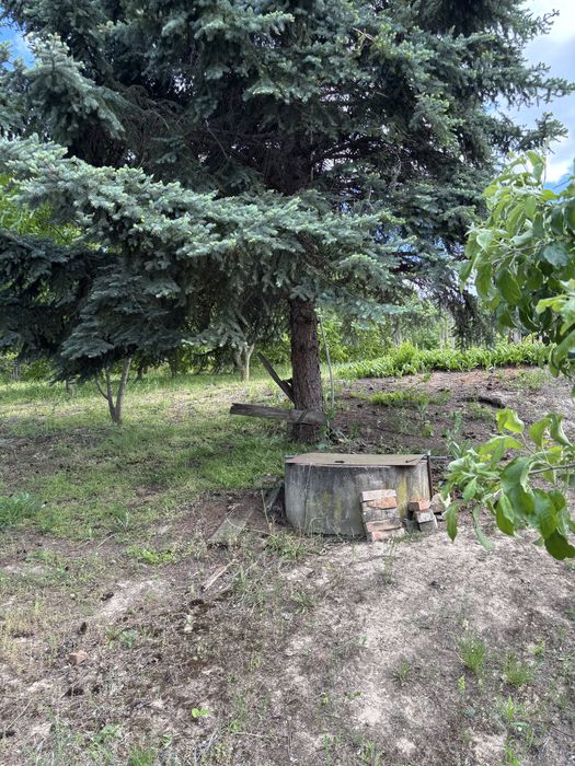 Дворно място на главен път