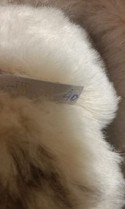 Новая женская обувь