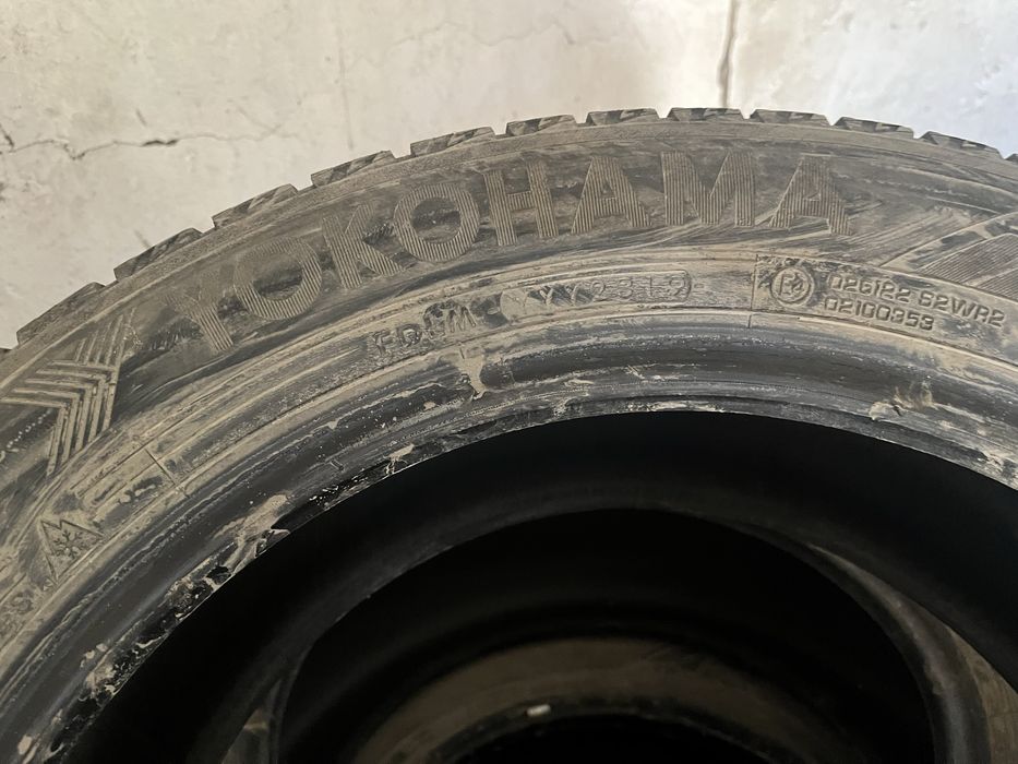 Шины липушка зима