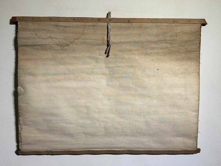 Соц Учебни Плакати Постери Биология