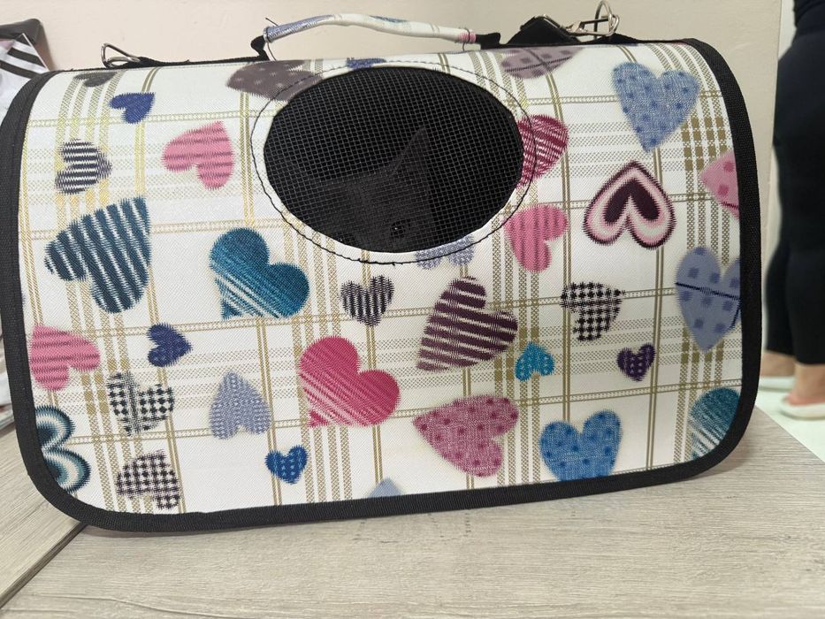 Породачный кот .