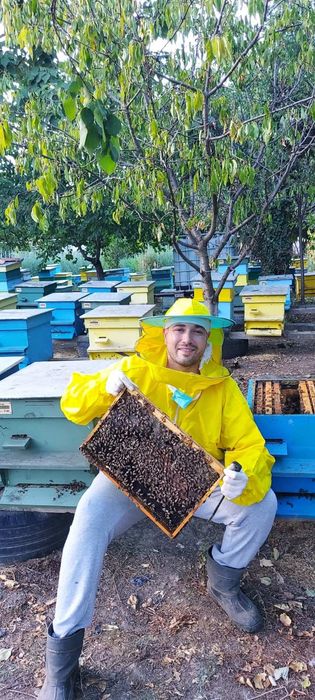 НАТУРАЛЕН Пчелен мед