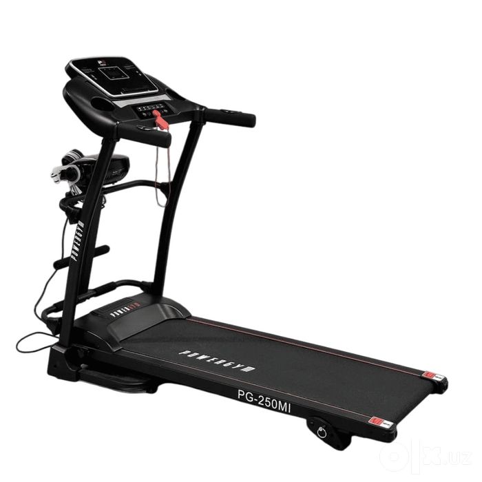 Беговая дорожка Powergym PG250