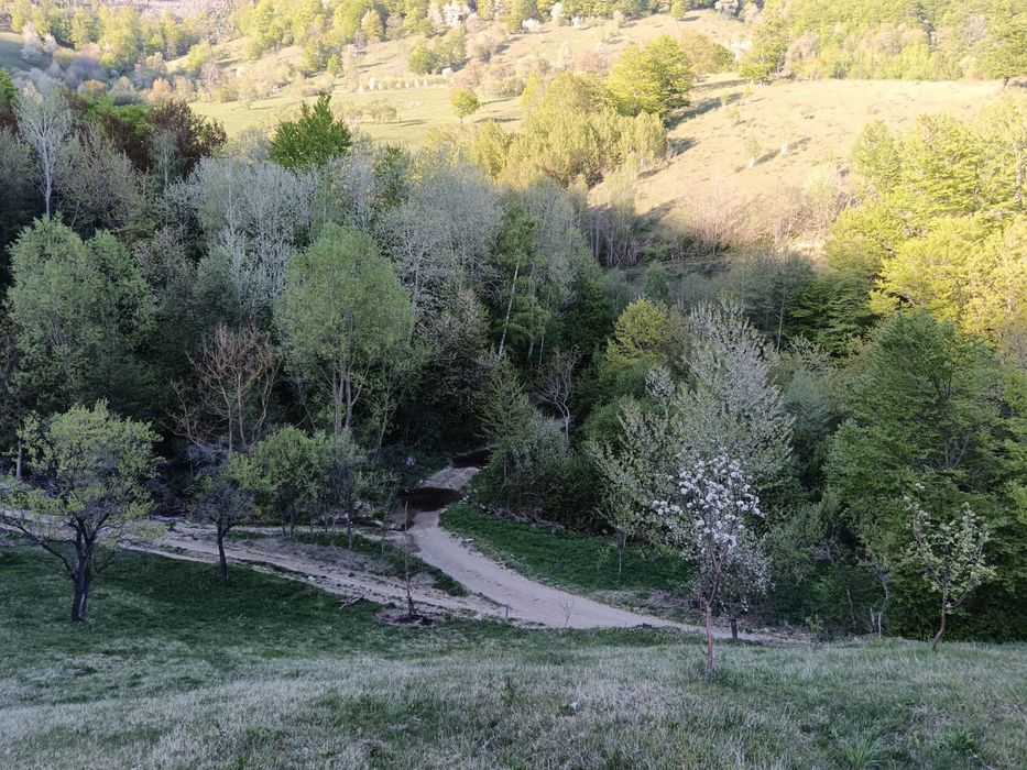 Teren Poiana Lunga,Cornereva