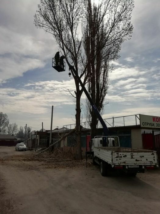 Услуги манипулятора