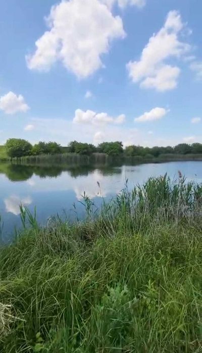 Teren la Buftea cu deschidere la lac