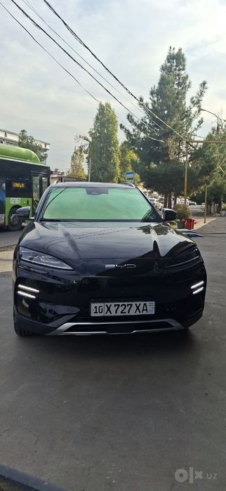 Byd cheppion 520talik